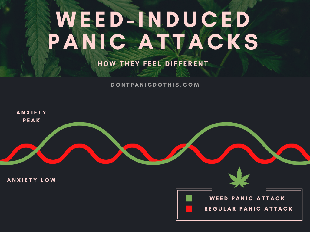 weed-induced panic attacks