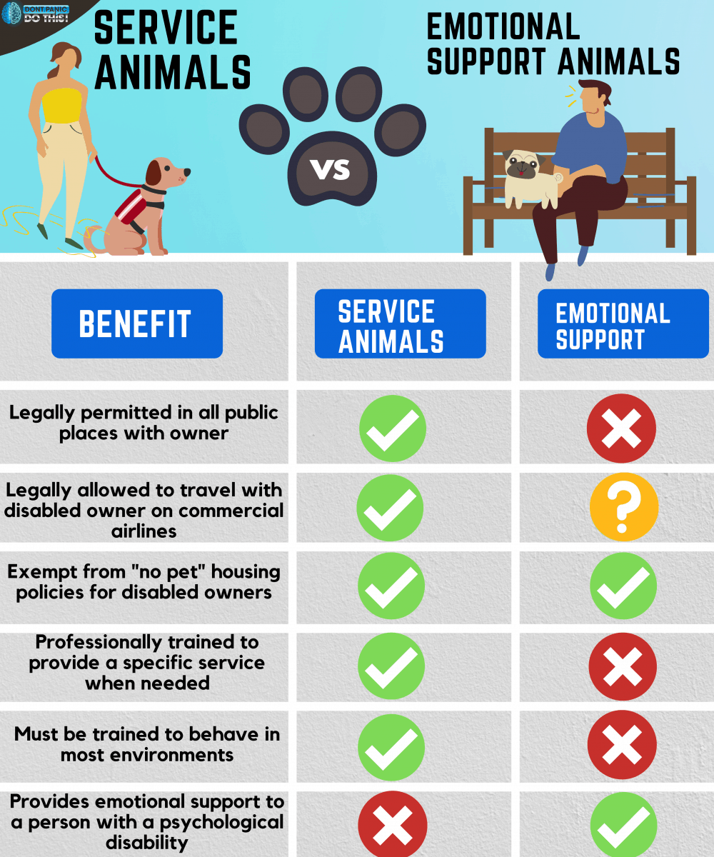 Service Animals vs Emotional Support Animals